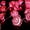 Pink, variant on Asisol Rose Flower Fairy String Lights 6.5ft 20 LED Battery Operated Indoor String Lights Romantic Gift for Date Wedding Party Bedroom Girl Girlfriend Valentine's Day Decor (Warm White)