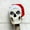 A, variant on Peacheart 12 Foot Skeleton Christmas Outfits,12Ft Giant Skeleton Accessories Clothes, Long Santa Hat for Xmas Outdoor Decorations