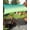 Green, variant on Turquoise Teal Ombre Sun Sail Shades Rectangle Canopy,Sunlight Block Heavy Duty Curved Backyard Shade Cover,Modern Geometric Moire Abstract Art Aesthetics Waterproof Sun Shades for Patios 8'x10'