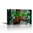 thumbnail image 1 of Borneo Fern, a primitve Ant Plant - Contemporary Fine Art Giclee on Canvas Gallery Wrap - wall décor - Art painting - 30 x 20 Inch - Ready to Hang, 1 of 2