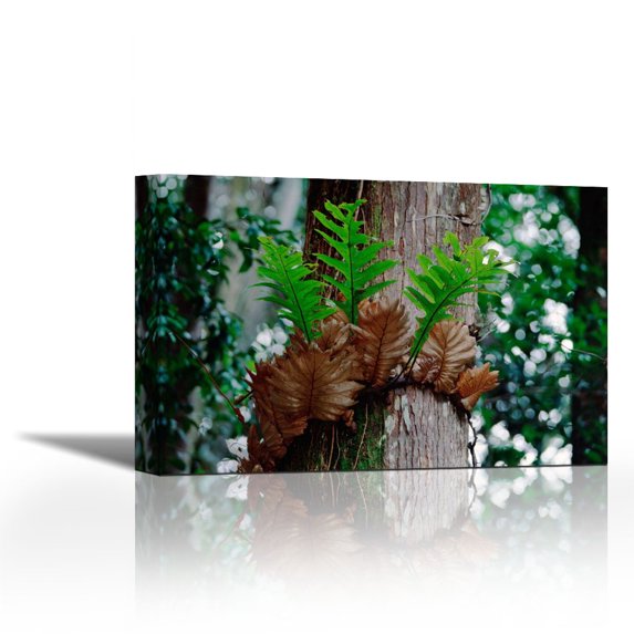 Borneo Fern, a primitve Ant Plant - Contemporary Fine Art Giclee on Canvas Gallery Wrap - wall décor - Art painting - 30 x 20 Inch - Ready to Hang