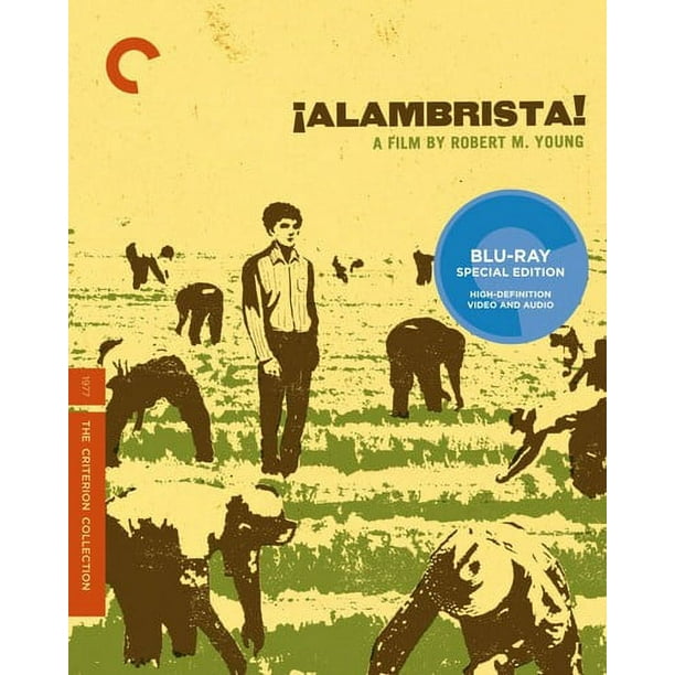 Alambrista! (Criterion Collection) [BLU-RAY]