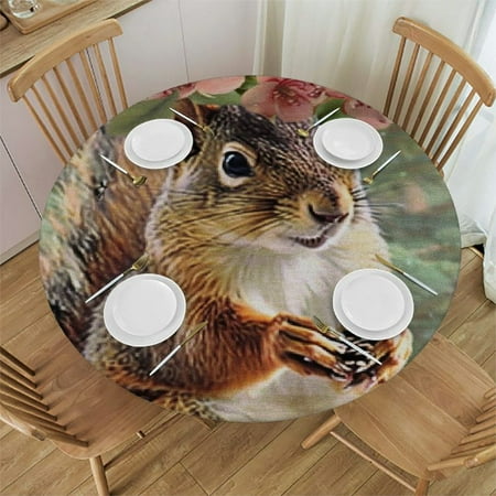 

SHERONV Squirrel Flower Crown Pine Cone Round Tablecloth - Stain Resistant and Washable 38 -42