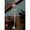 thumbnail image 2 of 48 Inch Mermaid Skeleton, 2 of 3