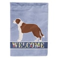 thumbnail image 1 of Carolines Treasures CK3713GF Borador Welcome Garden Size Flag, 1 of 3