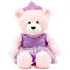 Valentine 16" Lovely Pink Princess Teddy with Purple Tutu Dress