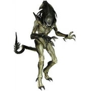Alien vs Predator Movie Masterpiece Predalien Collectible Figure