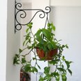 thumbnail image 4 of Hanging Plant Bracket Creative Wall Mounted Plant Hanger Bracket Wall Plant Hook, 4 of 7