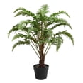 thumbnail image 1 of Vickerman FE181602 30 Po. Fern Vert en Pot Rond Noir, 1 of 2