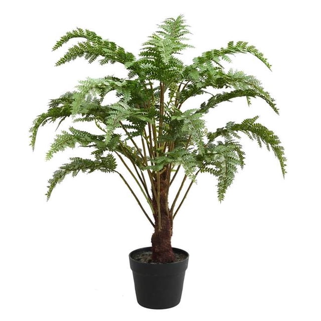 Vickerman FE181602 30 Po. Fern Vert en Pot Rond Noir