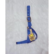 Hamilton Turnout Halter