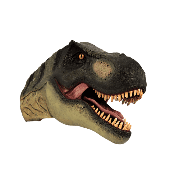 T-Rex Dinosaur Head Small Life Size Statue