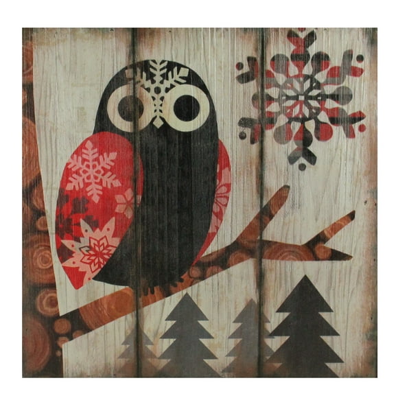 Raz 13,75" Alpin Chic Grand Hibou aux Yeux dans les Bois avec Plaque d'Art Mural Flocons de Neige