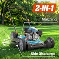 thumbnail image 4 of Senix 21" Gas Lawn Mower, 144cc 4-Cycle, 2-in-1 Mulch & Side Discharge, Durable Design, 6 Adjustable Heights, 4 of 13