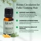 thumbnail image 2 of Kitsch Rosemary Oil for Hair Growth – Hair Oil with Biotin, Castor & Jojoba – Pre-Wash Scalp oil for Hair Care – Lavender Scent – 10mL, 2 of 4