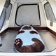 thumbnail image 5 of Saco de dormir tipo sobre con forma de gato: manta suave y acogedora para adultos, cama tipo tumbona lavable a máquina para acampar, pijamadas o uso doméstico., 5 of 6