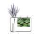 thumbnail image 1 of Planta de hojas de fotografía de naturaleza Tarjeta de jarrón de lavanda artificial, 1 of 3