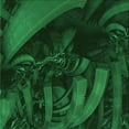 thumbnail image 1 of Ahgly Company Machine Washable Indoor Square Transitional Dark Forest Green Area Rugs, 4' Square, 1 of 7