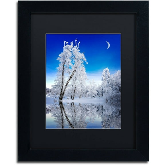 Trademark Fine Art "Emotive Ballad Canvas Art" Canvas Art by Philippe Sainte-Laudy, Black Matte, Black Frame