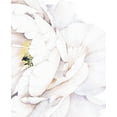 thumbnail image 2 of Peony Flowers Vinyl Wall Sticker - White, 2 of 3