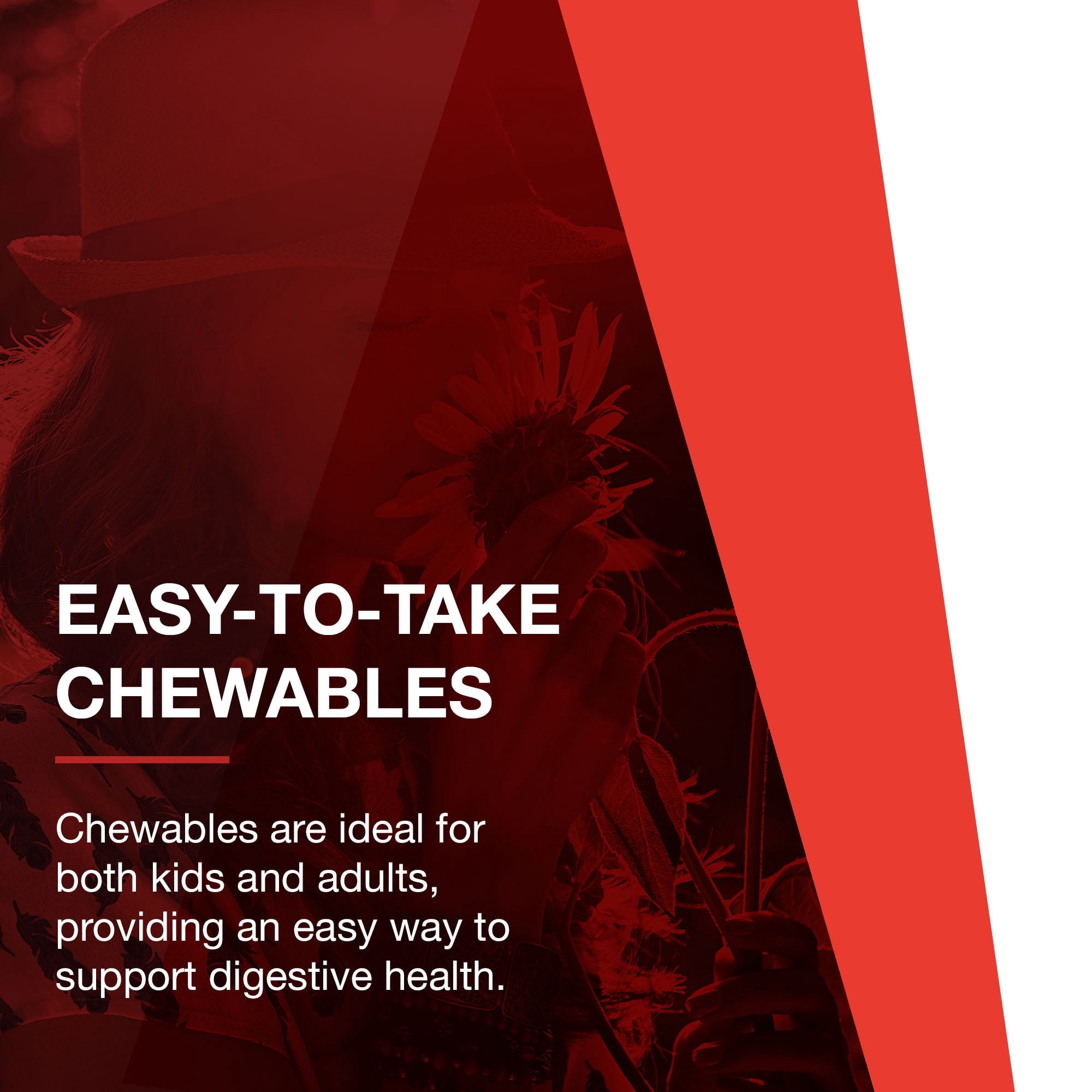 Protocol ProtoZymes - Digestive Enzymes, Broad Spectrum - Children, Adults - 90 Berry Chewables