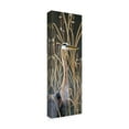thumbnail image 2 of Trademark Fine Art 'Standing Tall' Canvas Art by Wilhelm Goebel, 2 of 3