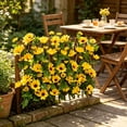 View all media