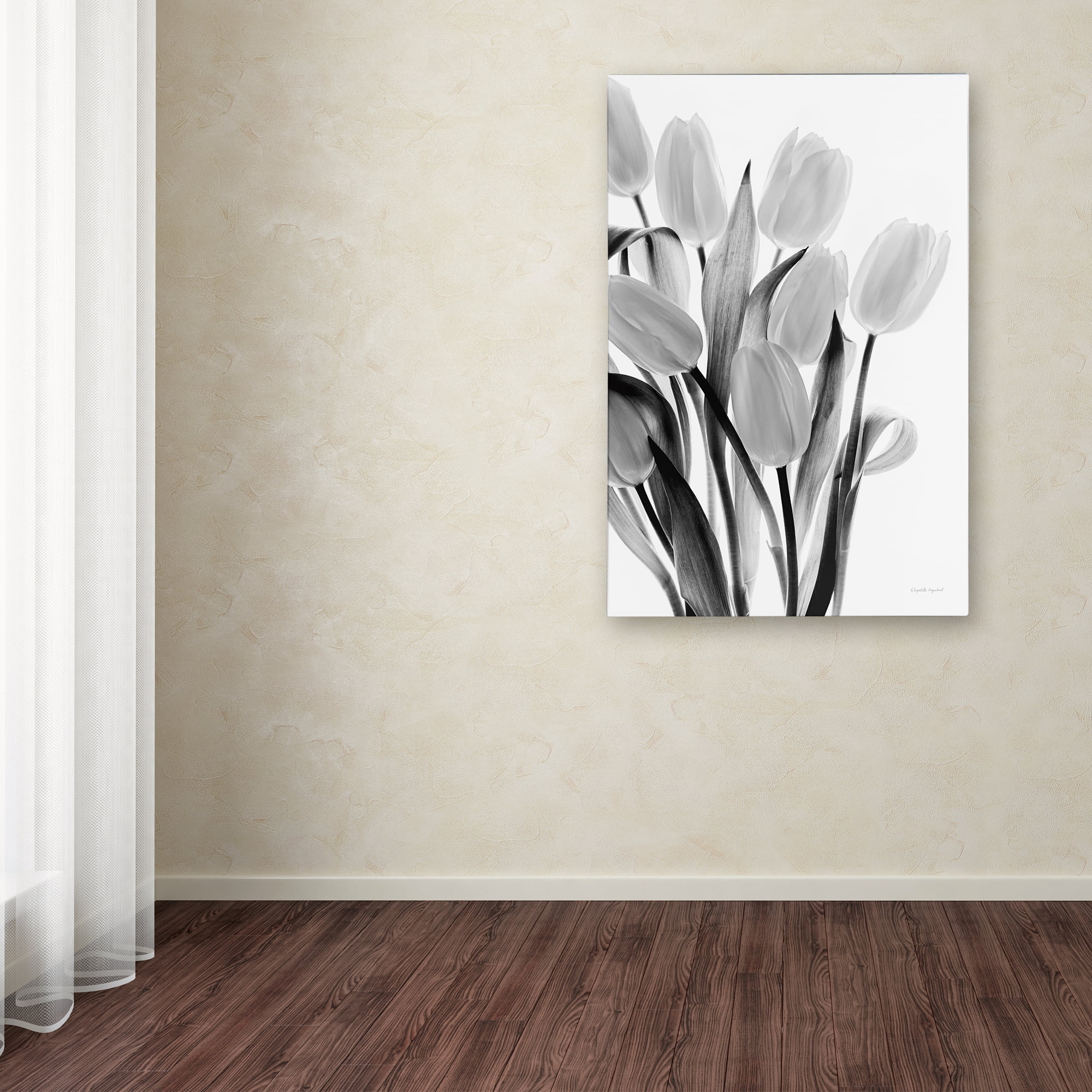 Trademark Fine Art 'Shadows and Light II' Canvas Art by Elizabeth Urquhart