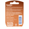 thumbnail image 4 of Vaseline Lip Therapy Cutie Jar 7g Cocoa Butter, 4 of 4