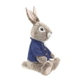 thumbnail image 4 of Sitting Peter Rabbit Plush, 4 of 5