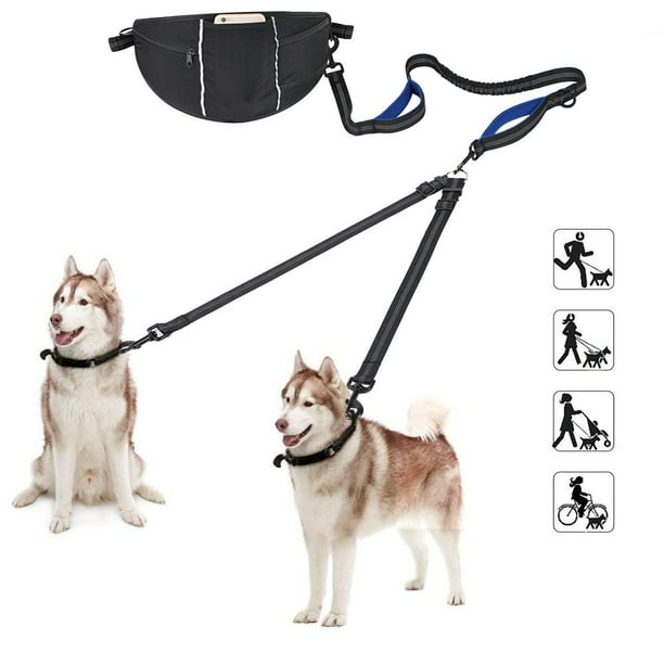 Hands free dog top leash for 2 dogs