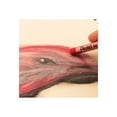 thumbnail image 4 of Pentel Arts Crayons Assorted Colors (50 Count), 4 of 4