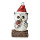 thumbnail image 2 of Estatua de búho de ojos grandes, adorno de búho, manualidades para amantes de los búhos, resina, cocina, chimenea, hogar caja de regalo, 2 of 9