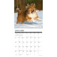 thumbnail image 3 of Willow Creek Press, Just Shelties 2025 Wall Calendar, 3 of 4