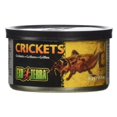 thumbnail image 1 of Exo Terra Canned Crickets Specialty Reptile Food, 34 G, 1 of 1