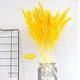 thumbnail image 4 of 30 Piezas de Flores de Caña de Hierba de Pampas Secas Ramo para Jarrón Decoración de, 4 of 4