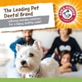 thumbnail image 2 of Juguete para Perro Arm & Hammer Mini Cocodrilo 5.2 Pulgadas, 2 of 7