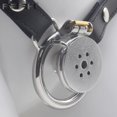 thumbnail image 1 of FRRK Small Short Sissy Negative Chastity Cock Cage Device with Cylinder Inverted Steel Penis Rings Flat BDSM Sex Toys for Adults, 1 of 5