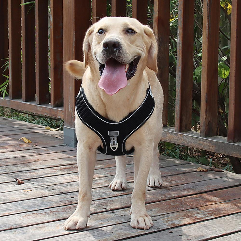 Gdog Black XL Large Dog Adjustable Harness Vest Dog Training Harness