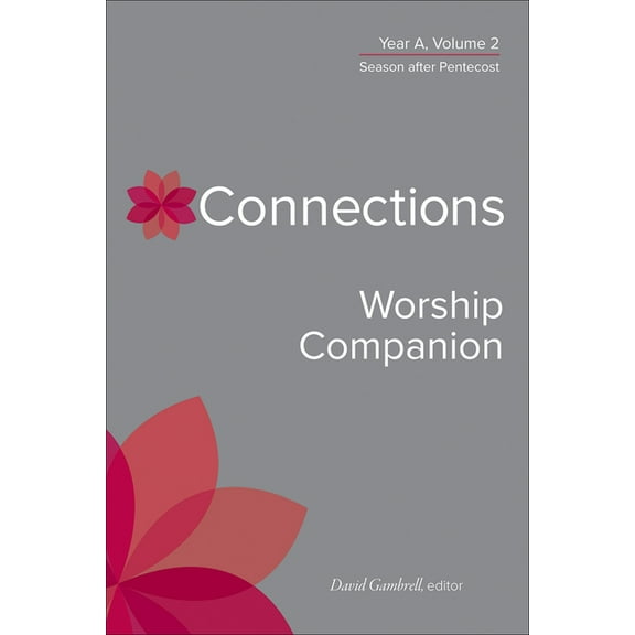 Connections: A Lectionary Commentary for Connections Worship Companion, Year A, Volume 2: Season After Pentecost, (Hardcover)