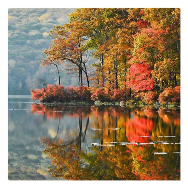 Cuadros Decorativos Punto de cruz completo Algodón 11CT Impreso Lake Reflection DIY Art Craft Kits Sywqhk Nuevos Originales