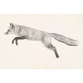 thumbnail image 3 of Borges, Victoria 14x11 Black Modern Framed Museum Art Print Titled - Flying Fox II, 3 of 5