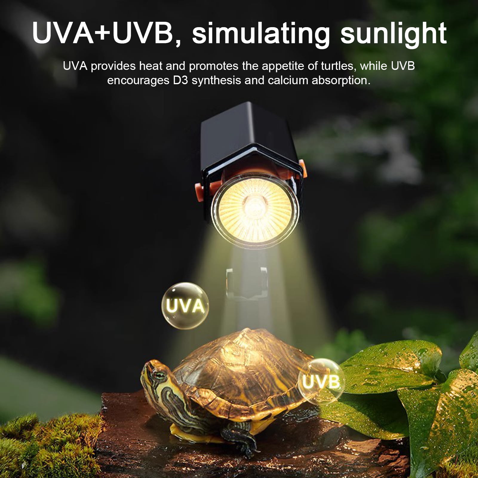 Reptile Heat Lamp With 360° Adjustable Stand - UVA UVB Basking Light, Includes 50W & 75W Bulbs, Timer Function