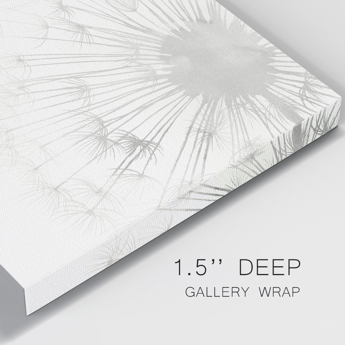 Wexford Home Dandelion Whisper II-Premium Gallery Wrapped Canvas, 40" x 40" - Ready to Hang