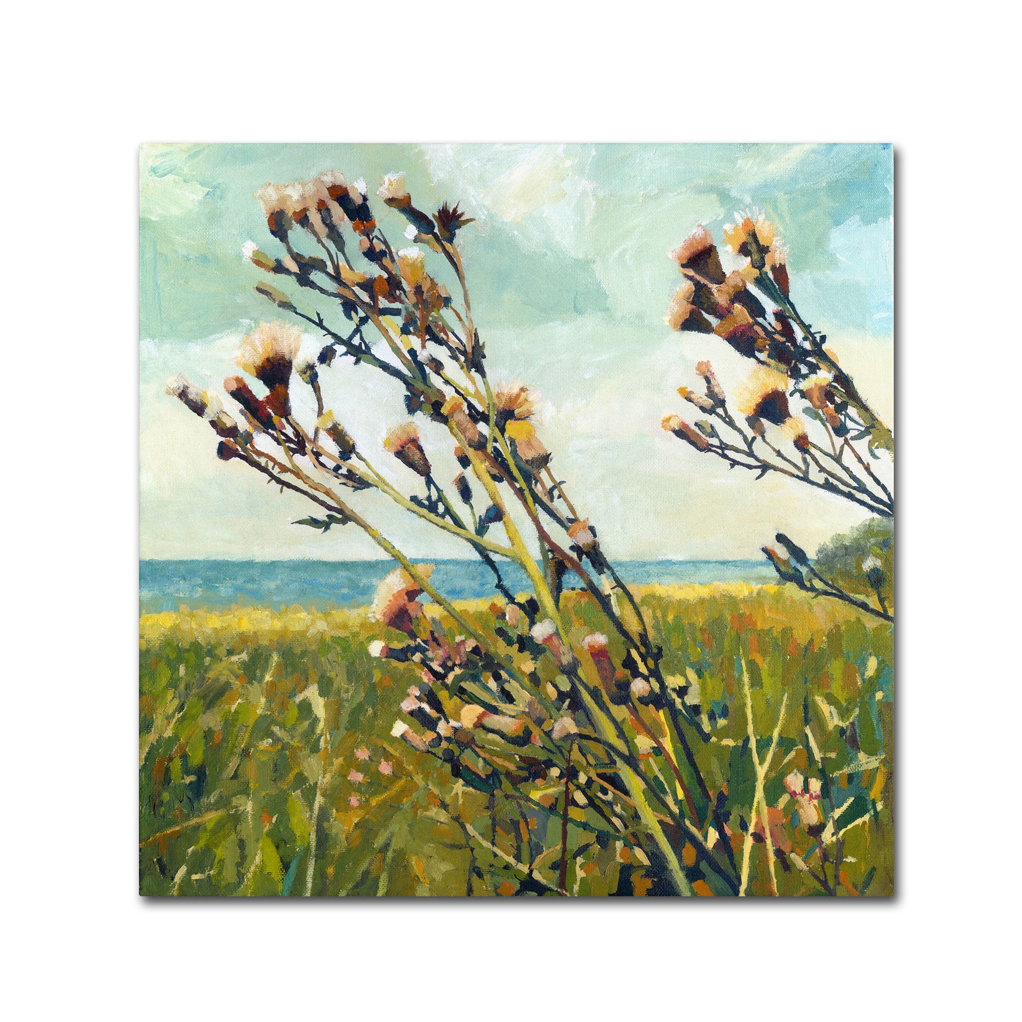 Trademark Fine Art "Thistles on the Beach" Canvas Art by Michelle Calkins