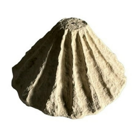 BIDK Home Paper Mache Shell Tabletop Decoration - 15" - Cream