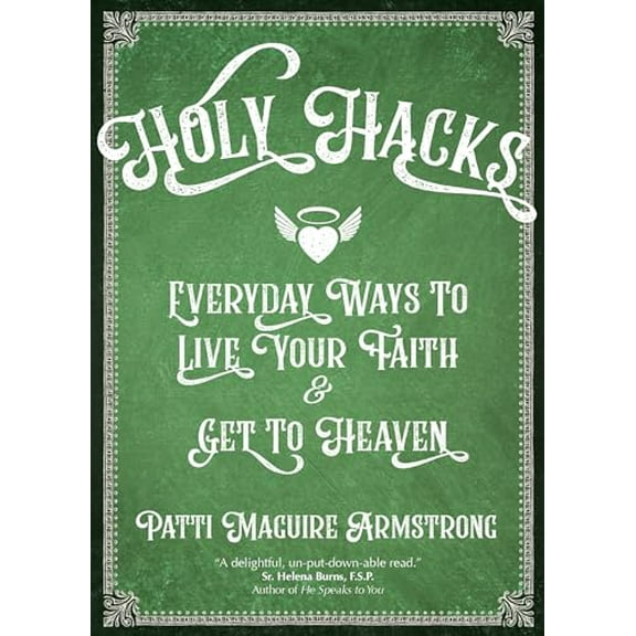 Pre-Owned Holy Hacks: Everyday Ways to Live Your Faith and Get to Heaven (Paperback) 1594718873 9781594718878