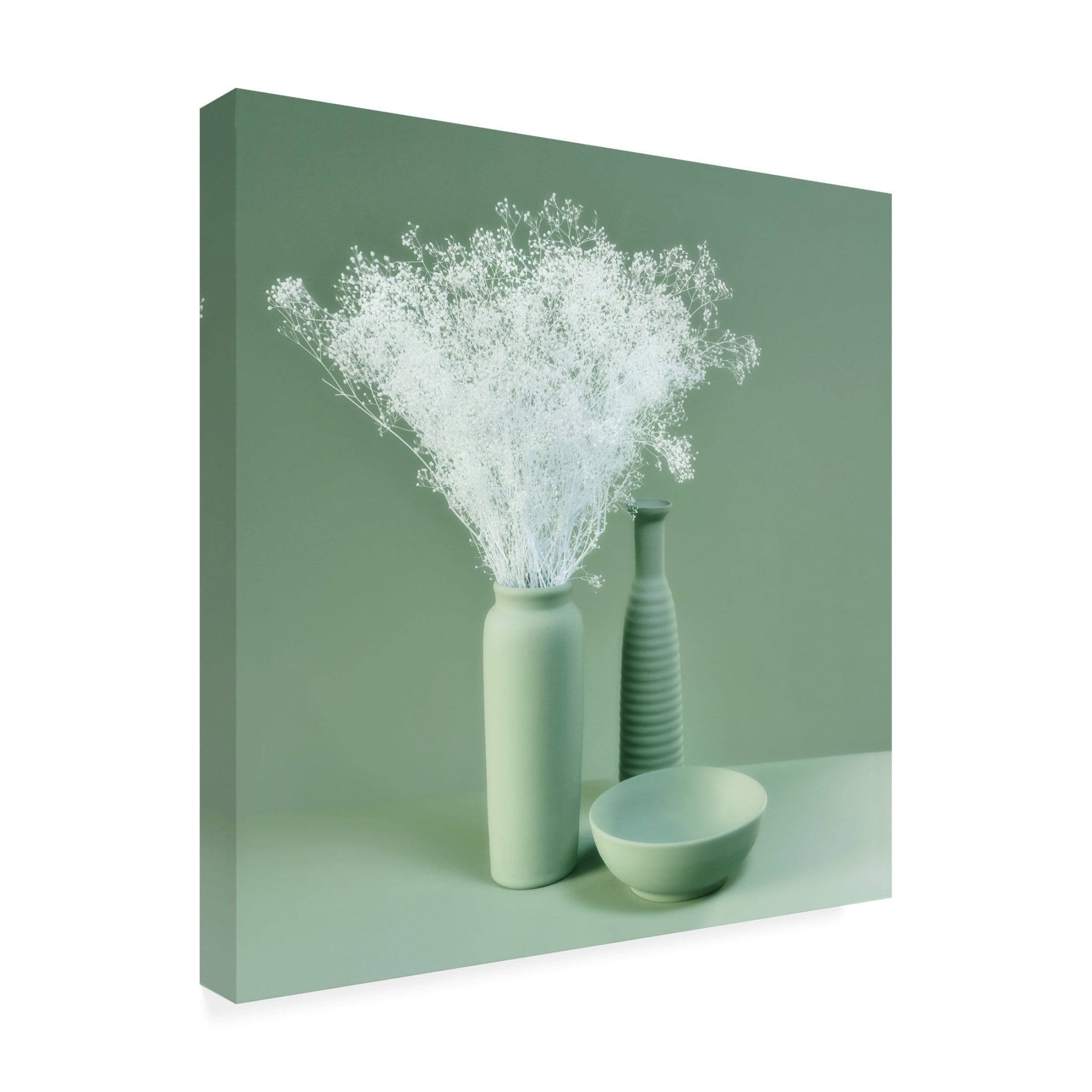 Canvas Wall Art - Heidi Westum 'Pure' Wall Art for Living Room, Bedroom, or Office Décor by Trademark Fine Art - 18 x 18 Inches