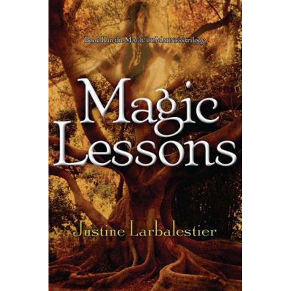 Pre-Owned Magic Lessons (Magic or Madness) (Hardcover) 1595140549 9781595140548