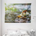 thumbnail image 1 of Funny Tapestry, Cute Colorful Frog Above the Snail Riverscape Water Rock Mollusks Amphibian Animals, Wall Hanging for Bedroom Living Room Dorm Decor, 80W X 60L Inches, Multicolor, by Ambesonne, 1 of 2